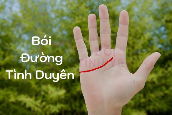 Bói đường tình duyên: Bật mí chuyện tình yêu của bạn quá khứ - hiện tại - tương lai